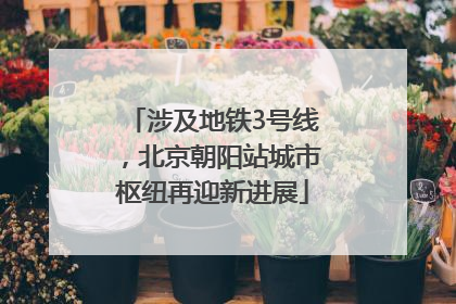 涉及地铁3号线，北京朝阳站城市枢纽再迎新进展