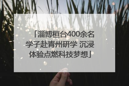 淄博桓台400余名学子赴青州研学 沉浸体验点燃科技梦想