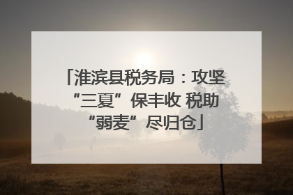 淮滨县税务局：攻坚“三夏”保丰收 税助“弱麦”尽归仓
