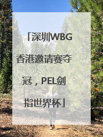 深圳WBG香港邀请赛夺冠，PEL剑指世界杯