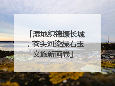 湿地织锦缀长城，苍头河染绿右玉文旅新画卷