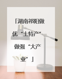 湖南祁阳做优“土特产” 做强“大产业”
