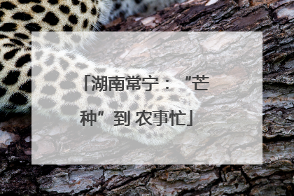 湖南常宁：“芒种”到 农事忙