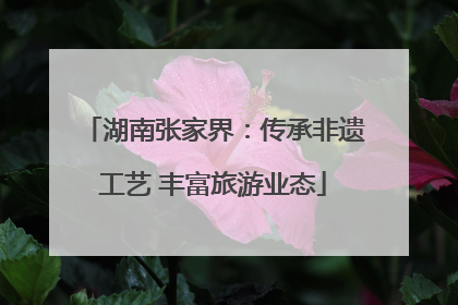 湖南张家界：传承非遗工艺 丰富旅游业态