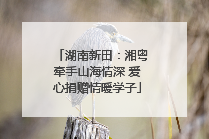 湖南新田：湘粤牵手山海情深 爱心捐赠情暖学子