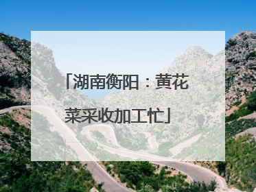 湖南衡阳：黄花菜采收加工忙