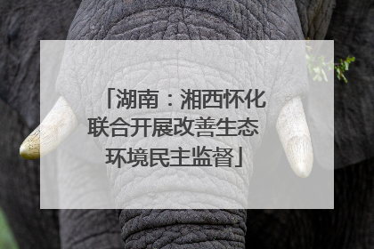 湖南：湘西怀化联合开展改善生态环境民主监督