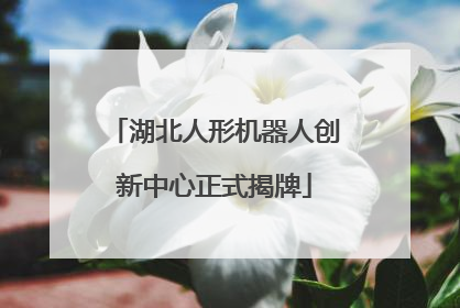 湖北人形机器人创新中心正式揭牌