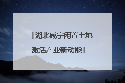 湖北咸宁闲置土地激活产业新动能