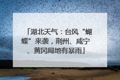 湖北天气：台风“蝴蝶”来袭，荆州、咸宁、黄冈局地有暴雨