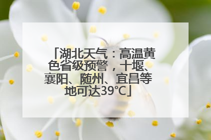 湖北天气：高温黄色省级预警，十堰、襄阳、随州、宜昌等地可达39℃