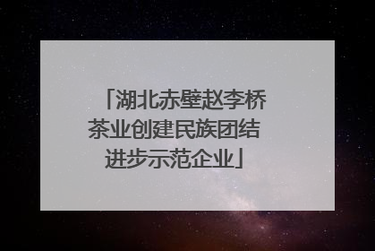 湖北赤壁赵李桥茶业创建民族团结进步示范企业