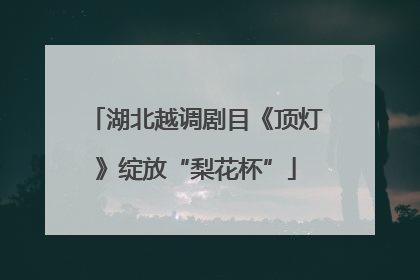 湖北越调剧目《顶灯》绽放“梨花杯”