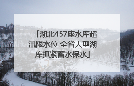 湖北457座水库超汛限水位 全省大型湖库抓紧蓄水保水