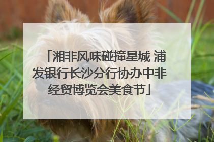湘非风味碰撞星城 浦发银行长沙分行协办中非经贸博览会美食节
