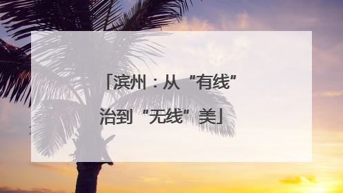 滨州：从“有线”治到“无线”美
