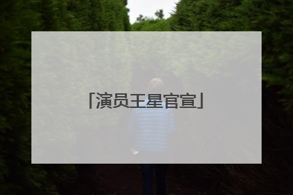演员王星官宣