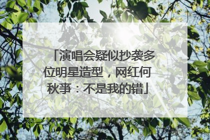 演唱会疑似抄袭多位明星造型，网红何秋亊：不是我的错