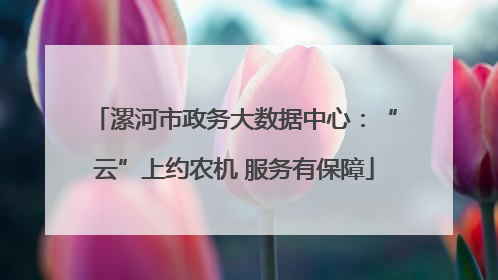 漯河市政务大数据中心：“云”上约农机 服务有保障