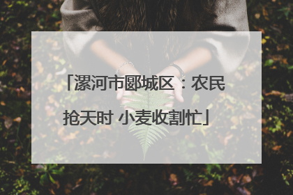 漯河市郾城区：农民抢天时 小麦收割忙