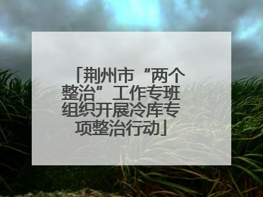 荆州市“两个整治”工作专班组织开展冷库专项整治行动