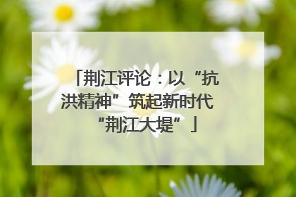 荆江评论：以“抗洪精神”筑起新时代“荆江大堤”