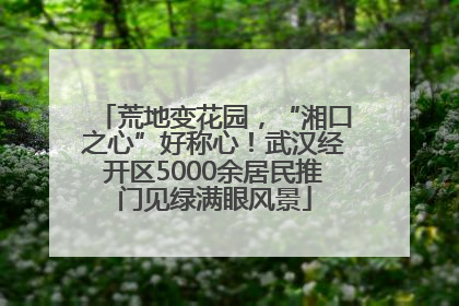 荒地变花园，“湘口之心”好称心！武汉经开区5000余居民推门见绿满眼风景