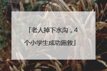 老人掉下水沟，4个小学生成功施救