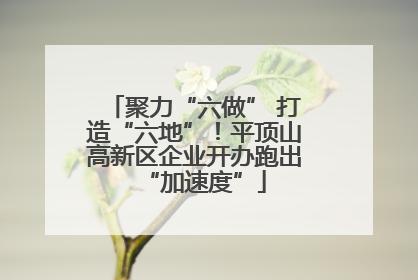 聚力“六做” 打造“六地”！平顶山高新区企业开办跑出“加速度”