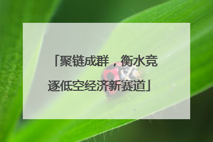 聚链成群，衡水竞逐低空经济新赛道