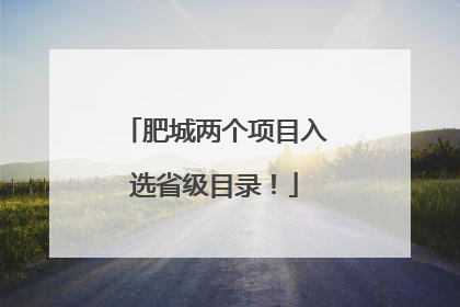 肥城两个项目入选省级目录！