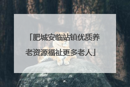 肥城安临站镇优质养老资源福祉更多老人