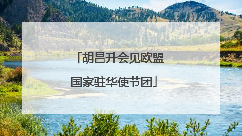 胡昌升会见欧盟国家驻华使节团