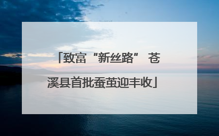 致富“新丝路” 苍溪县首批蚕茧迎丰收