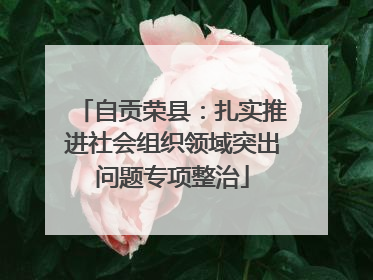 自贡荣县：扎实推进社会组织领域突出问题专项整治