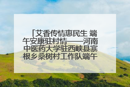 艾香传情惠民生 端午安康驻村情——河南中医药大学驻西峡县寨根乡桑树村工作队端午中医惠民记