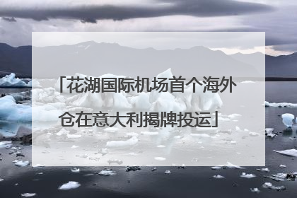花湖国际机场首个海外仓在意大利揭牌投运
