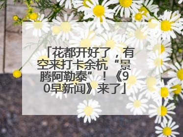 花都开好了，有空来打卡余杭“景腾阿勒泰”！《90早新闻》来了