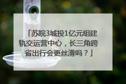 苏皖3城投1亿元组建轨交运营中心，长三角跨省出行会更丝滑吗？