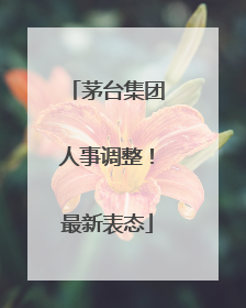 茅台集团人事调整！最新表态