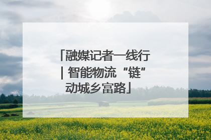融媒记者一线行｜智能物流“链”动城乡富路