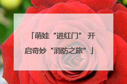 萌娃“进红门” 开启奇妙“消防之旅”