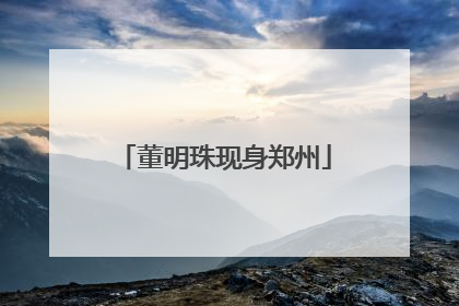 董明珠现身郑州