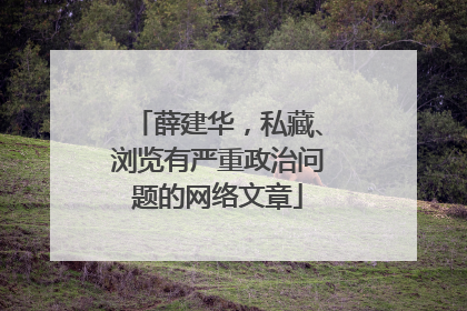 薛建华，私藏、浏览有严重政治问题的网络文章
