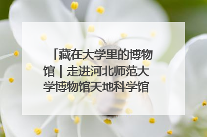 藏在大学里的博物馆｜走进河北师范大学博物馆天地科学馆：在校园里赴一场“宇宙之约”