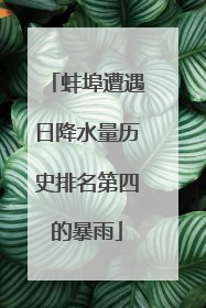 蚌埠遭遇日降水量历史排名第四的暴雨