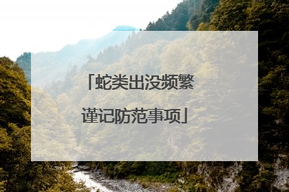 蛇类出没频繁 谨记防范事项