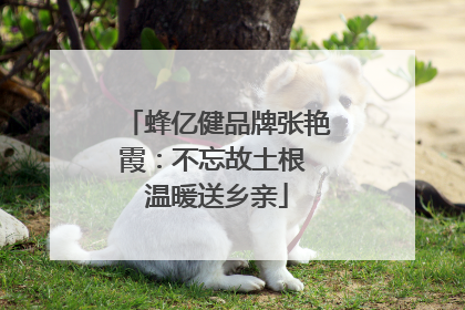 蜂亿健品牌张艳霞：不忘故土根 温暖送乡亲