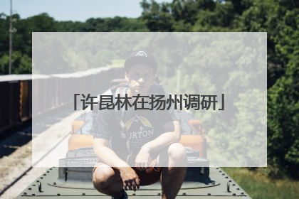 许昆林在扬州调研