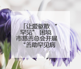让爱驱散 “罕见” 困境 市慈善总会开展“善助罕见病 让爱不罕见”救助慰问活动